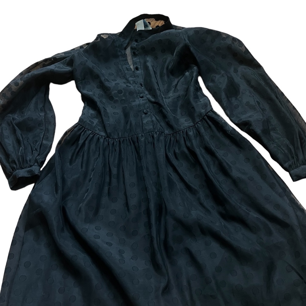 Small Black Sheer Polka Dot dress